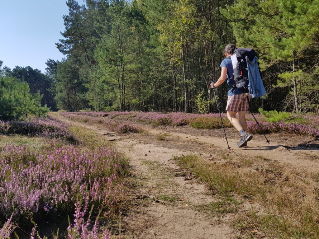 Pflügkuffer Heide