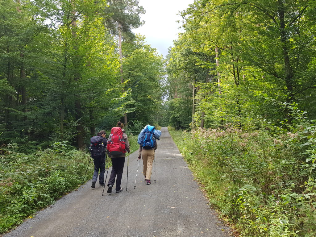 Wegbegleiter auf dem Jakobsweg