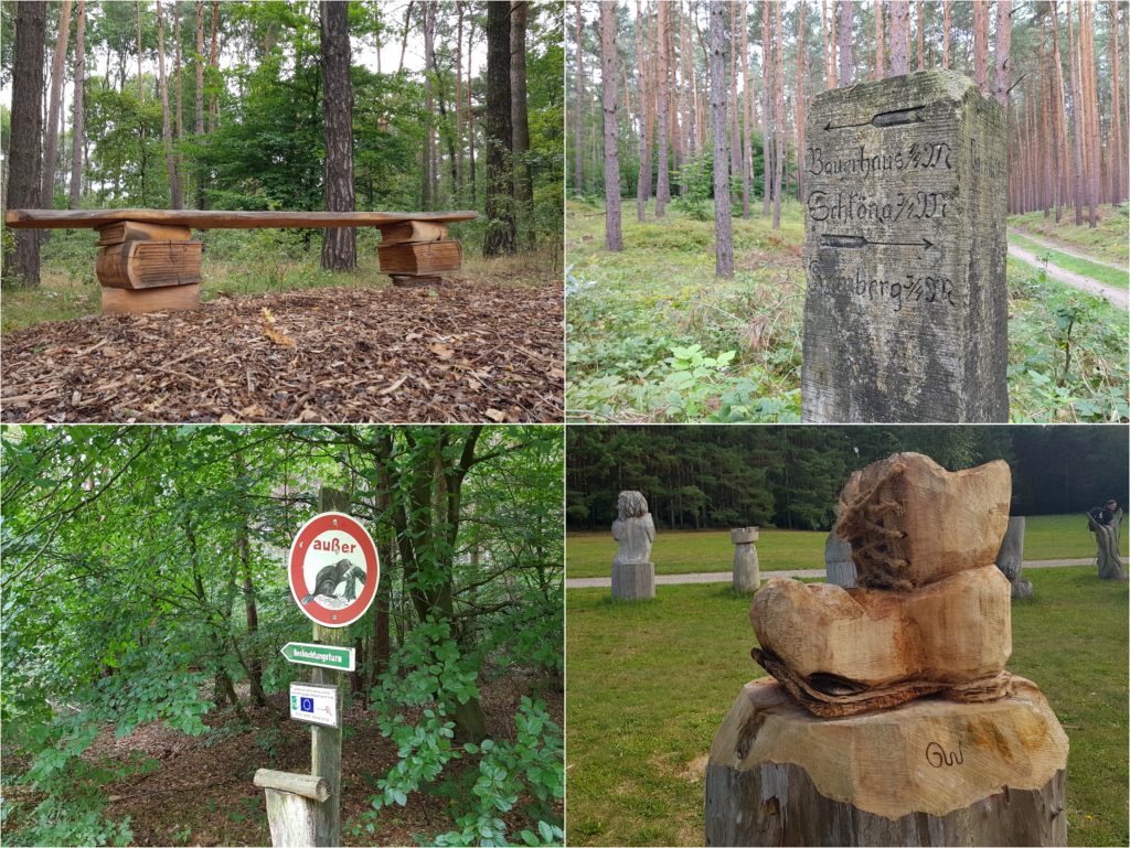 Impressionen Dübener Heide