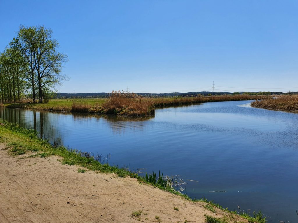 Mündung der Nieplitz in die Nuthe