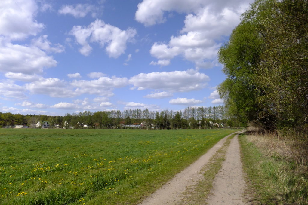 Feldweg bei Woltersdorf